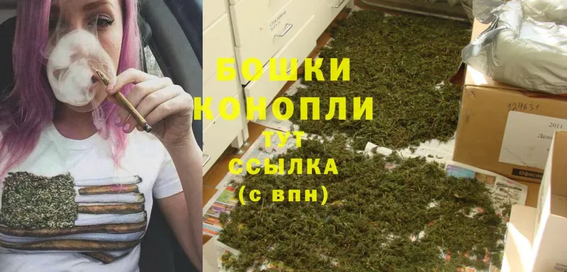 Конопля Ganja  Отрадная 